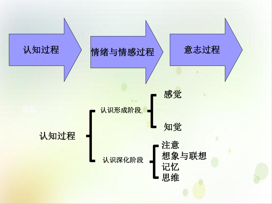 消费者的心理活动过程-讲义课件.ppt_第3页