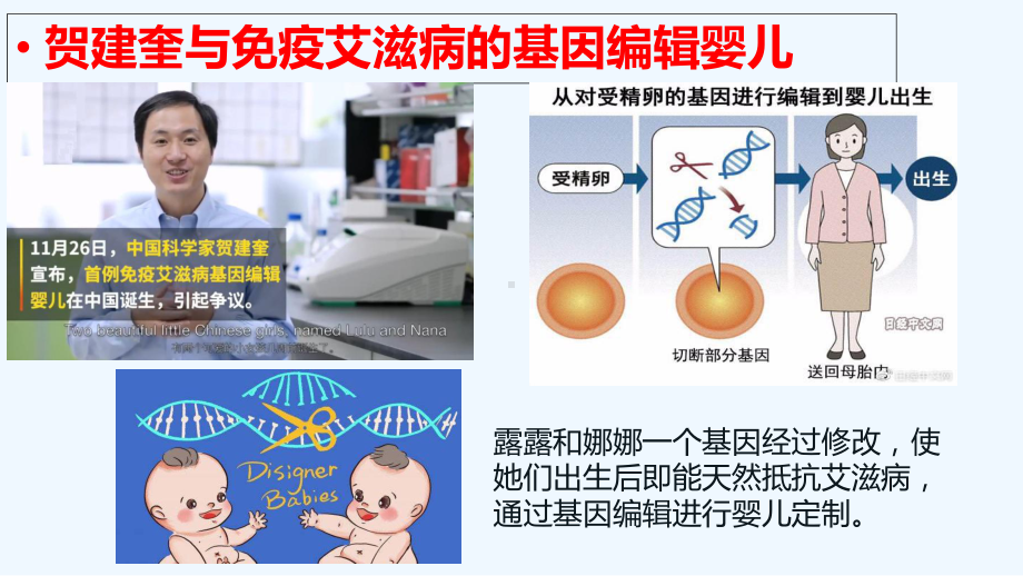 科技探索之路-基础理论和技术的发展催生了基因工程课件.ppt_第2页