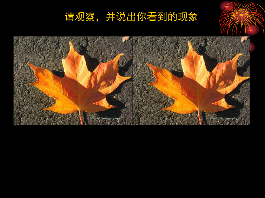 全等三角形课件.pptx_第2页