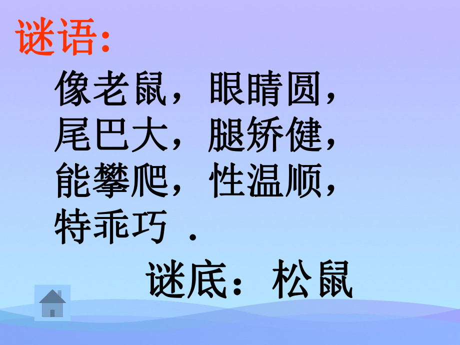 松鼠课件3优秀课件.ppt_第1页