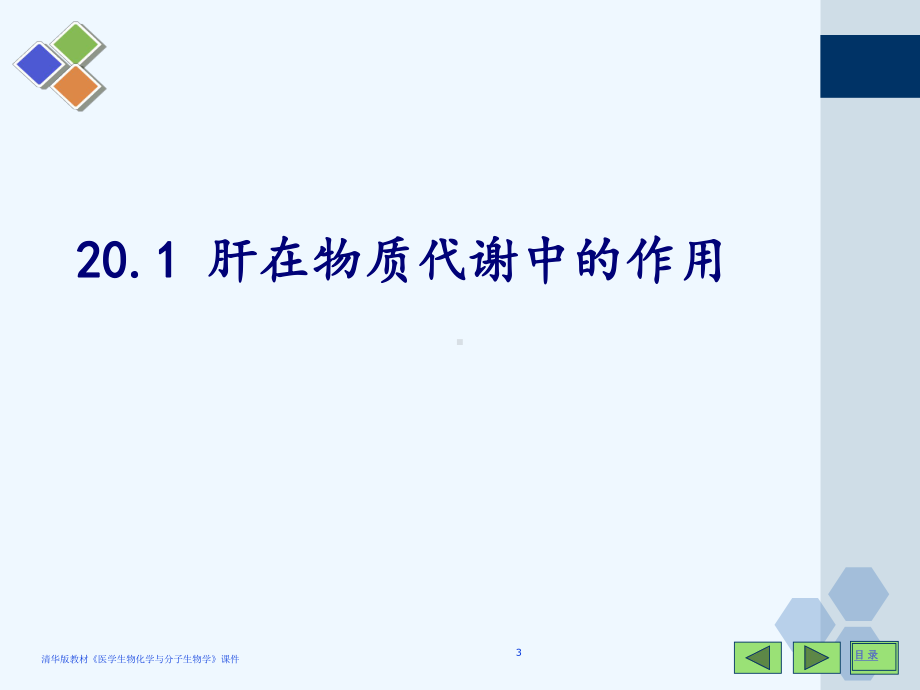 物质代谢的主要基地肝课件.ppt_第3页