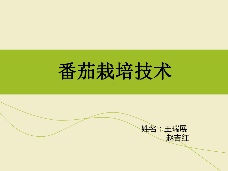 番茄栽培技术课件.ppt_第1页