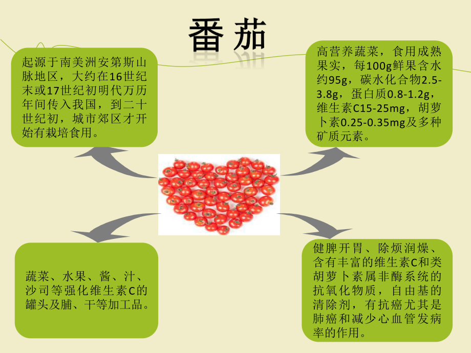 番茄栽培技术课件.ppt_第3页