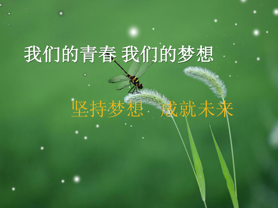 我们的未来-主题班会课件.ppt_第2页