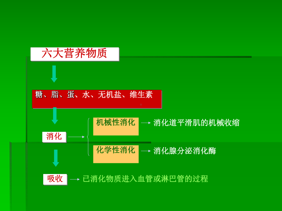 消化与吸收-课件.ppt_第3页