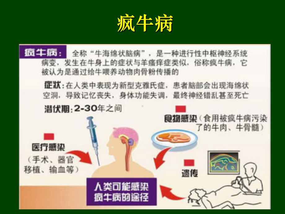 生物入侵与生物安全课件.ppt_第2页