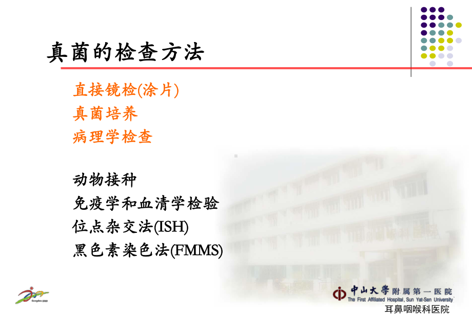 真菌性鼻窦炎课件-002.ppt_第3页