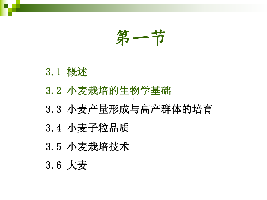 作物栽培学小麦课件.ppt_第2页