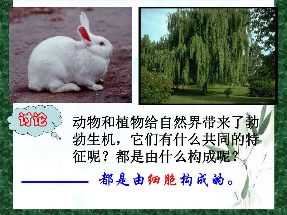 浙教版七级科学上册显微镜[2]课件.ppt_第1页