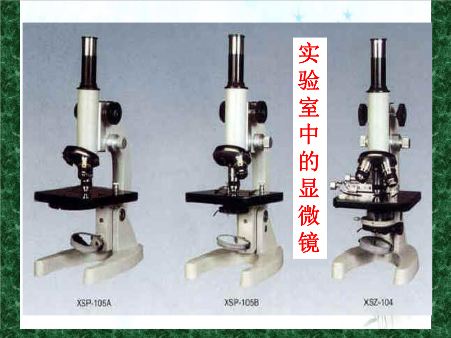 浙教版七级科学上册显微镜[2]课件.ppt_第3页