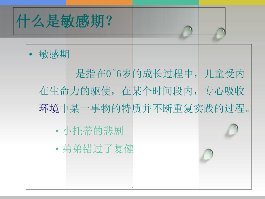 捕捉儿童敏感期课件.ppt_第2页