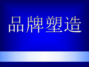 最新-营销-市场总监培训教材集锦-品牌塑造课件-.ppt