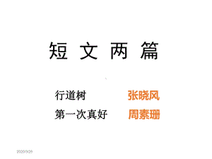 短文两篇·行道树·第一次真好-课件.ppt