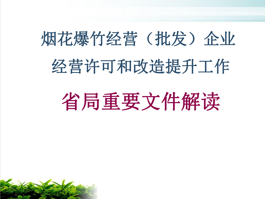 烟花爆竹经营企业经营许可和改造提升工作解读模版课件.ppt_第1页