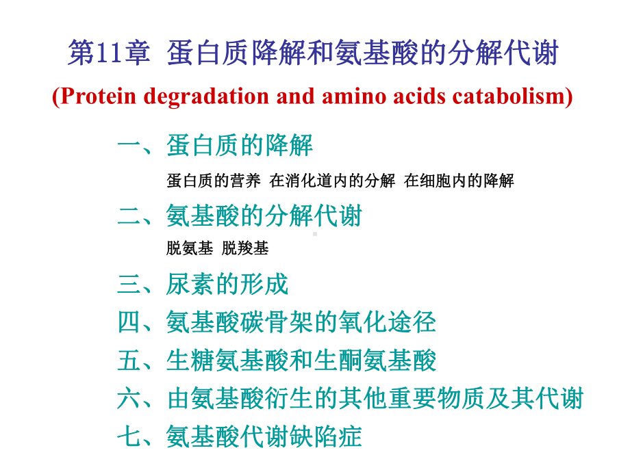 生物化学考研课件-第9章.ppt_第1页