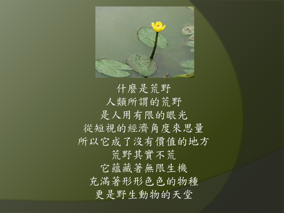 探险途上的情书课件.ppt_第2页