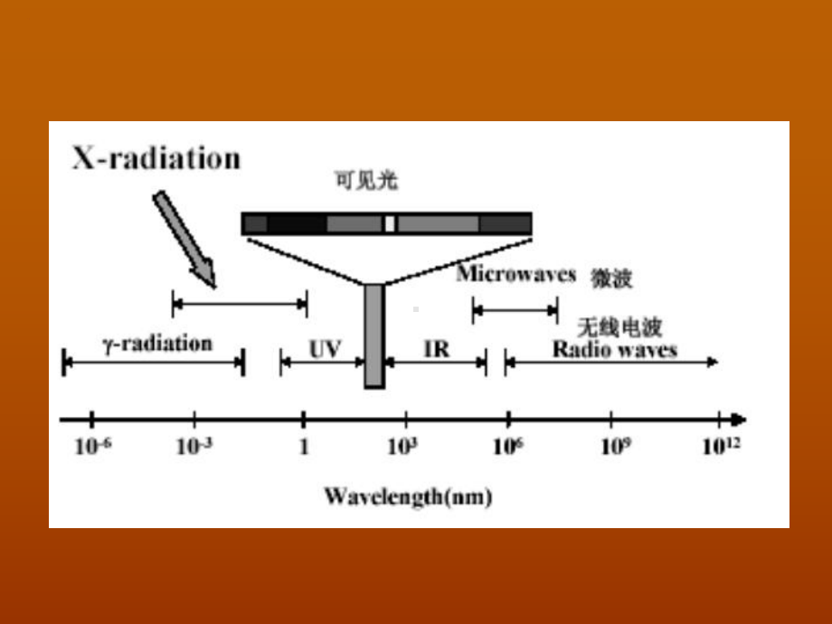 最新-紫外可见吸收光谱--课件.ppt_第3页