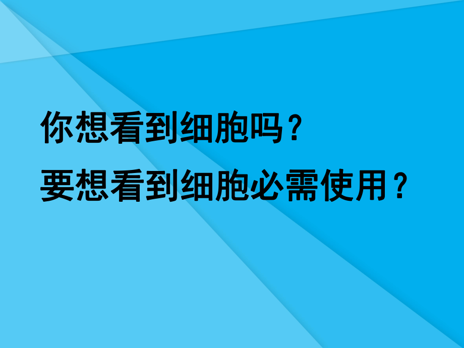 探索生命的器具课件9-苏教版优秀课件.ppt_第2页