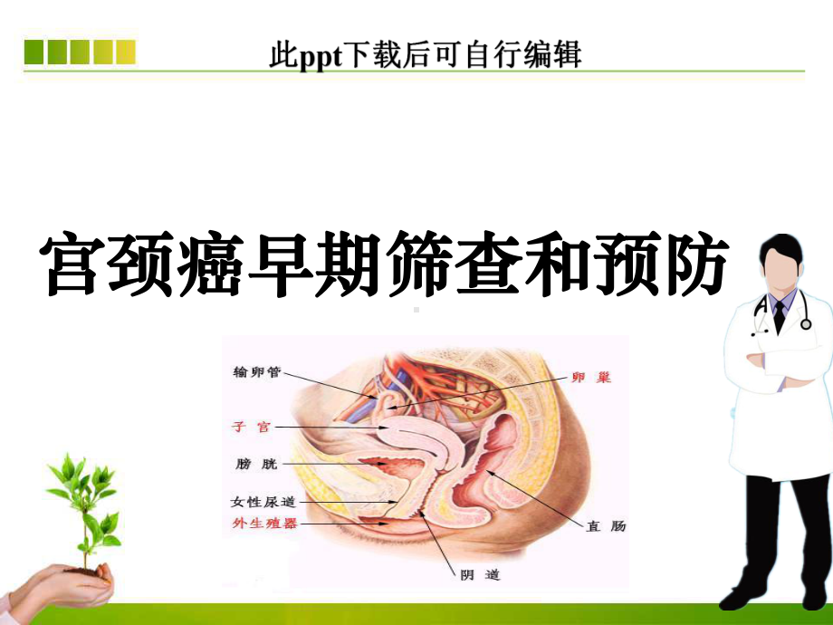 宫颈癌早期筛查和预防课件.ppt_第1页