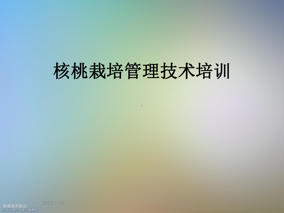 核桃栽培管理技术培训课件.ppt_第1页