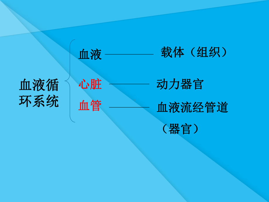 物质运输的器官课件3-济南版优秀课件.ppt_第2页