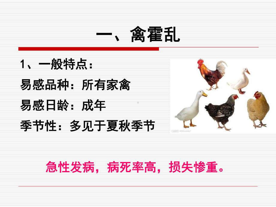 家禽常见细菌性传染病的诊断与防治课件.ppt_第2页