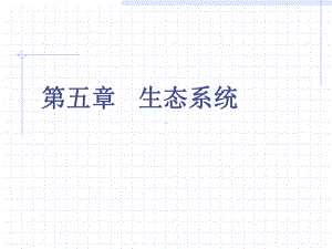 生态学基础课件-生态系统的一般特征.ppt