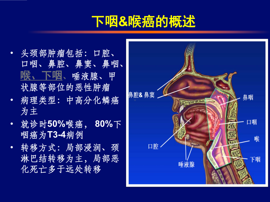 喉癌保喉治疗临床进展课件.pptx_第2页