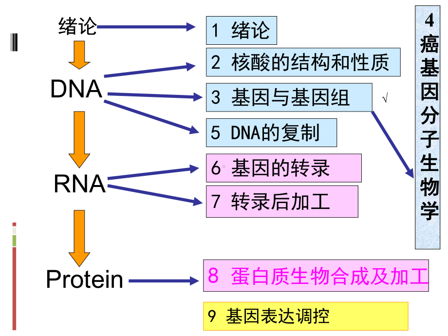 癌基因分子生物学肿瘤发生的分子基础课件.ppt_第1页