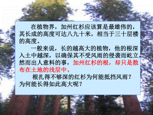 承担关爱集体的责任课件.ppt