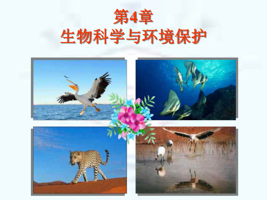 生物性污染及其防治课件.ppt_第1页