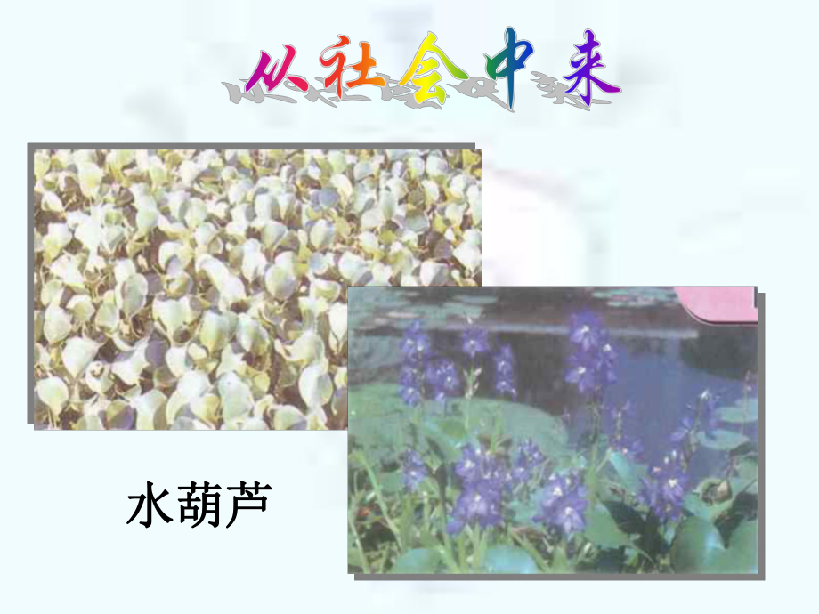 生物性污染及其防治课件.ppt_第3页