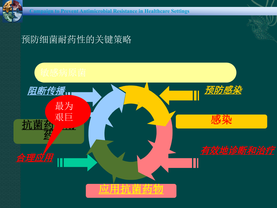 合理使用抗菌药物控制细菌耐药增长课件.ppt_第2页