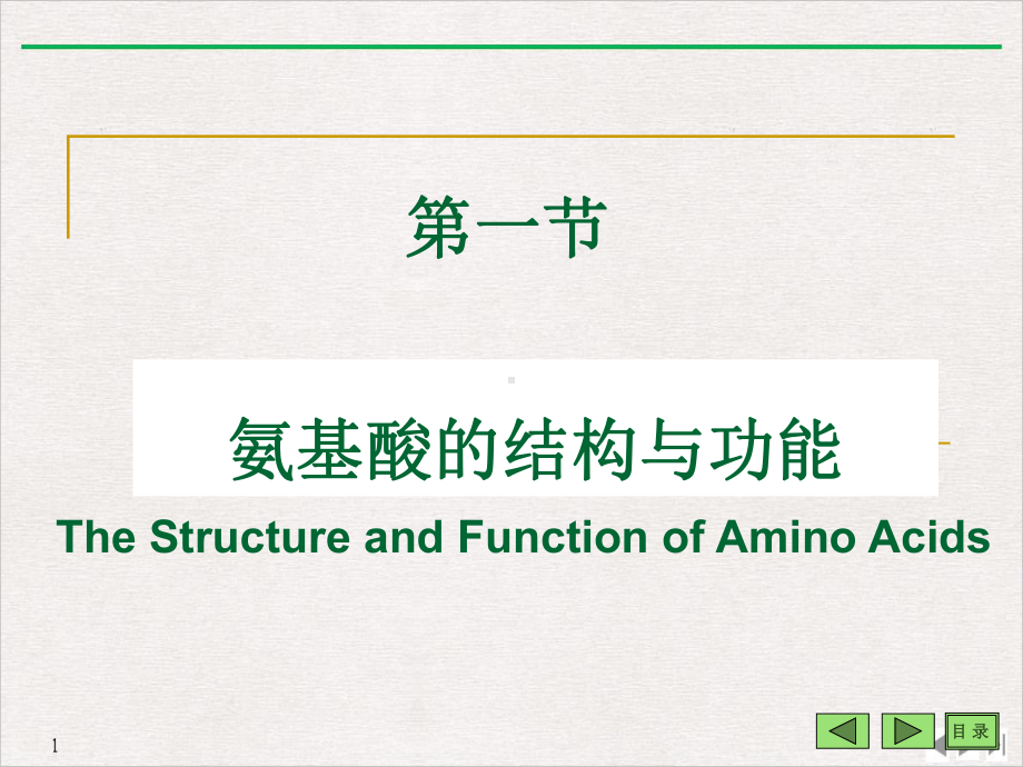 氨基酸酸与核苷酸公开课课件.pptx_第2页