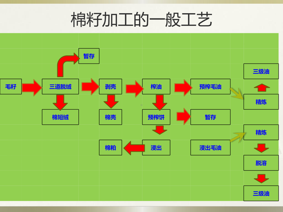 棉籽加工工艺浅谈课件.ppt_第3页