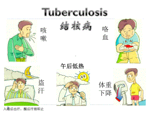 病理学-结核病-课件3.ppt