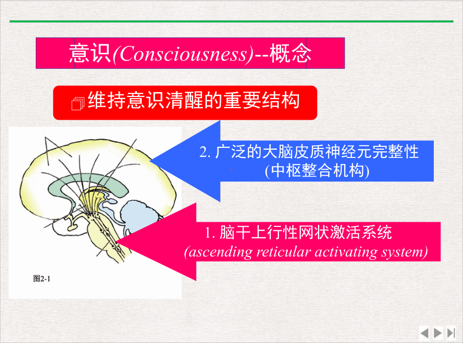 神经学常见症状课件.pptx_第2页