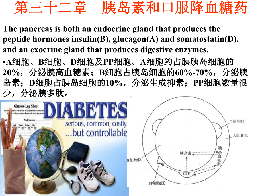 格列本脲课件.ppt_第1页