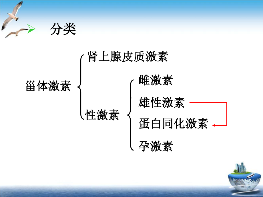 甾体激素类药物的分析1精选课件.ppt_第3页