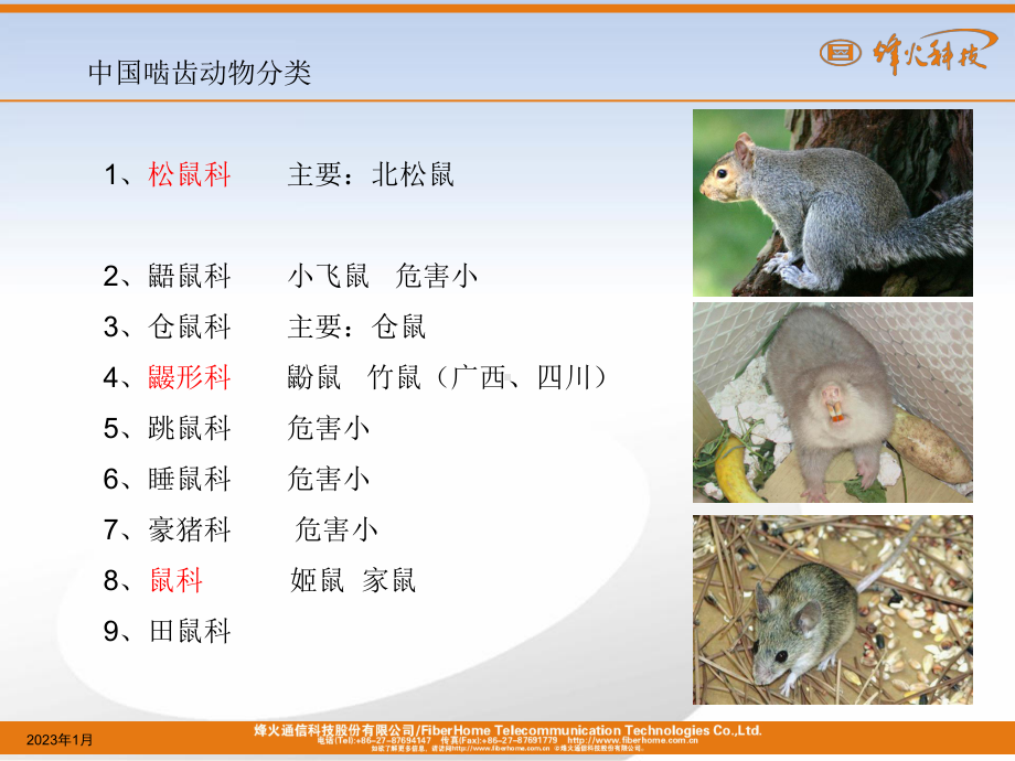 烽火非金属防鼠光缆课件.ppt_第3页