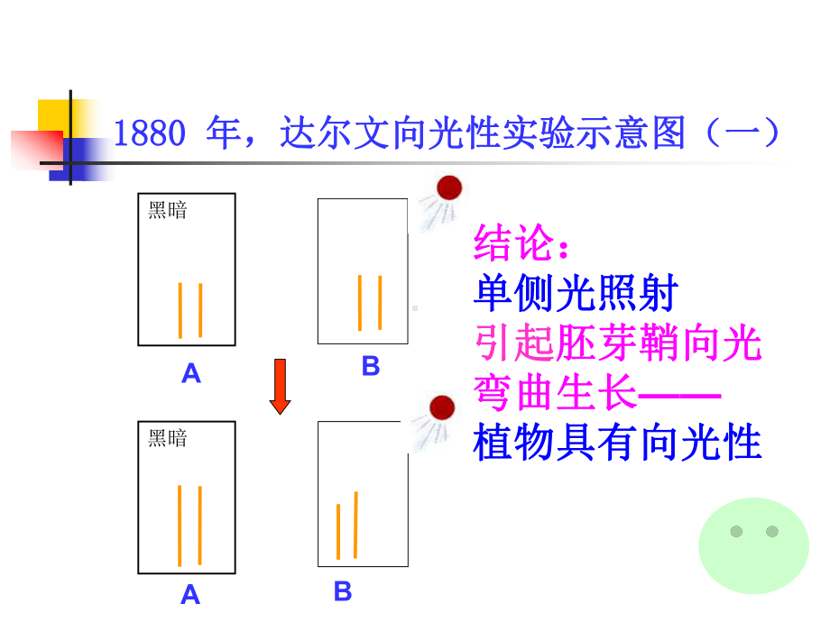 植物生命活动的调-课件.ppt_第2页