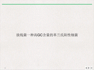 放线菌一种高GC含量的革兰氏阳性细菌教学课件.ppt