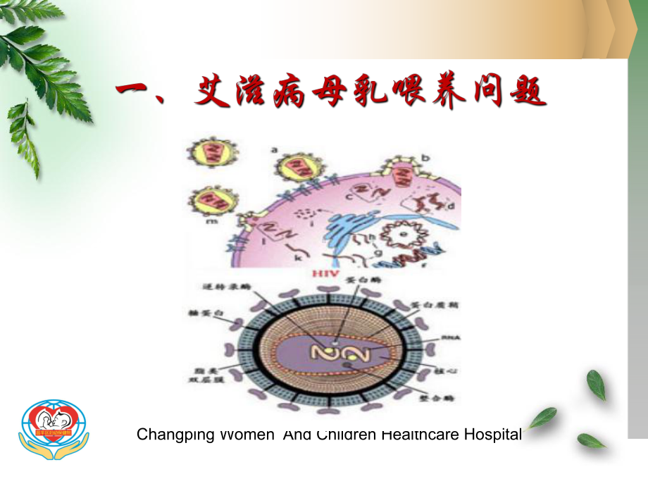 传染病母亲的母乳喂养课件解读.ppt_第3页