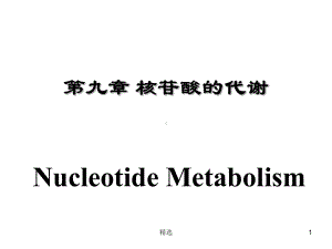 新版第九章-核苷酸的代谢-Nucleotide-Metabolism课件.ppt