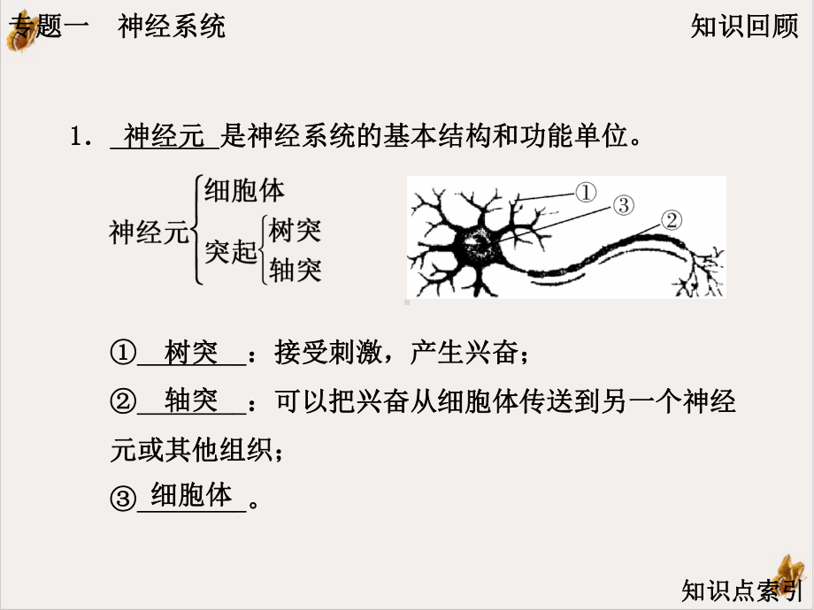 生命活动的调节培训课件.ppt_第2页