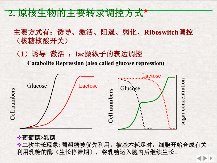 目的基因表达精选课件.pptx_第3页