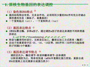 目的基因表达精选课件.pptx