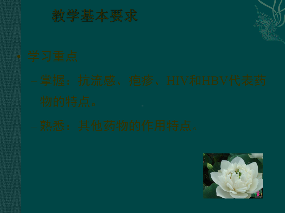 抗病毒药-药理学-42课件.ppt_第3页