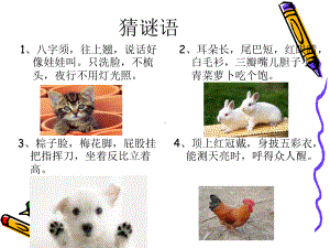 作文：我喜欢的小动物课件.ppt