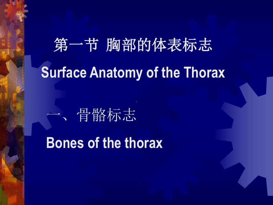 双语胸部查体-修改版课件.ppt_第3页